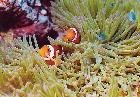 ���ذNo.029